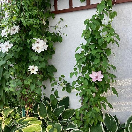 Casa Blanca Διαμέρισμα Jastarnia Εξωτερικό φωτογραφία