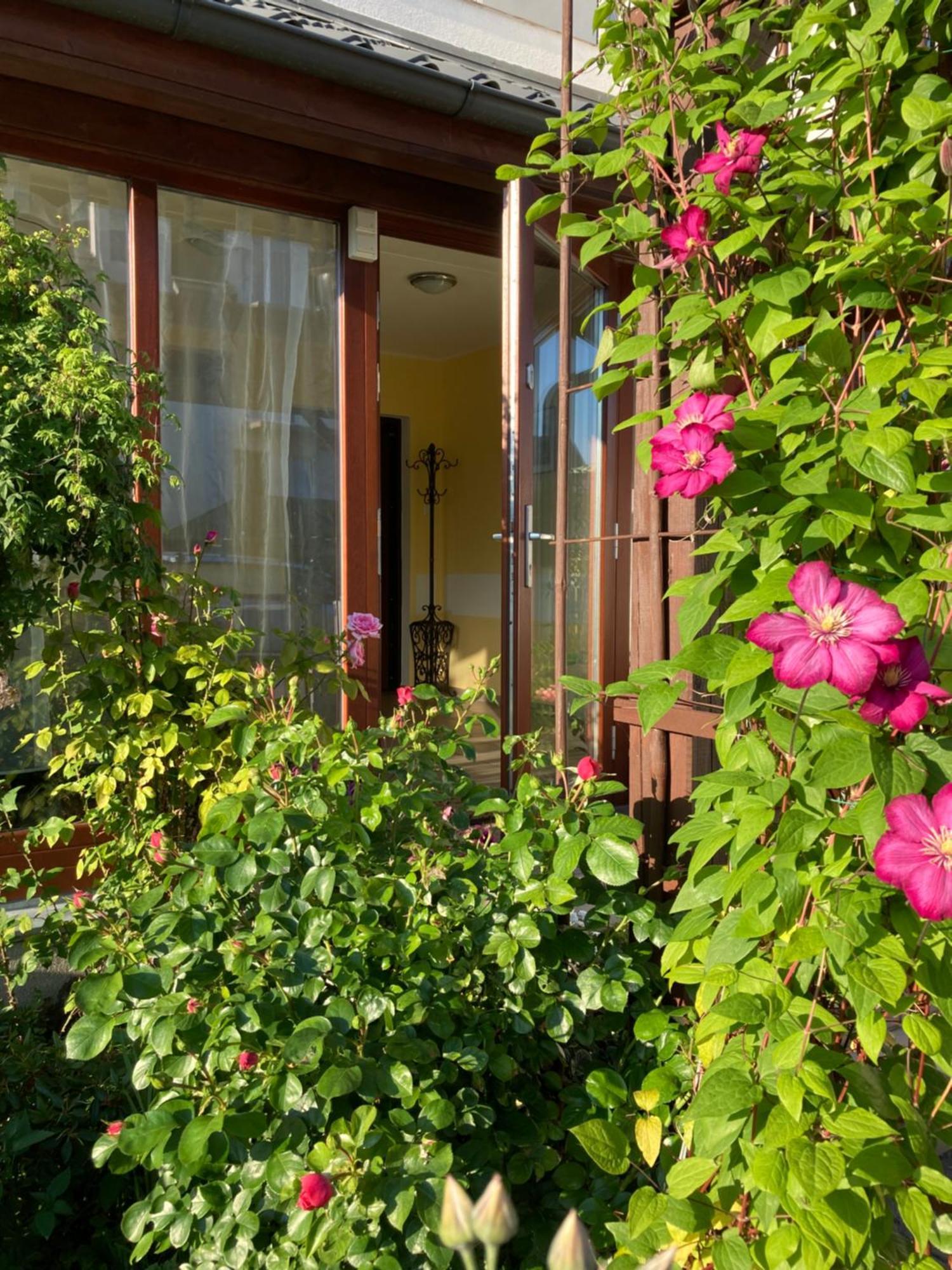 Casa Blanca Διαμέρισμα Jastarnia Εξωτερικό φωτογραφία